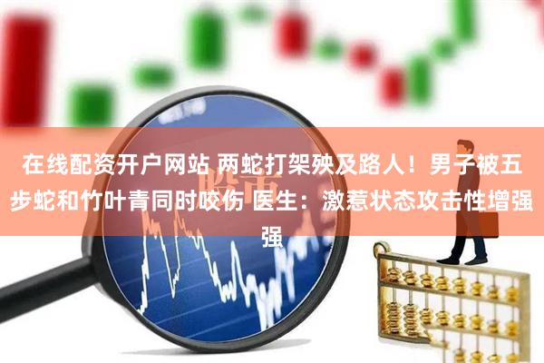 在线配资开户网站 两蛇打架殃及路人！男子被五步蛇和竹叶青同时咬伤 医生：激惹状态攻击性增强
